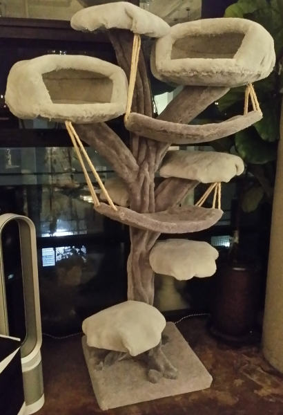 Fantasy tree with two caves and two hammocks