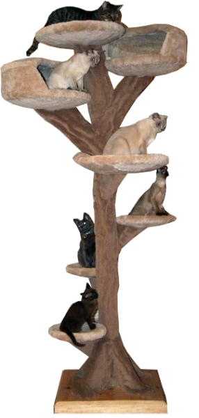 Fantasy tree with three caves and dish upgrade