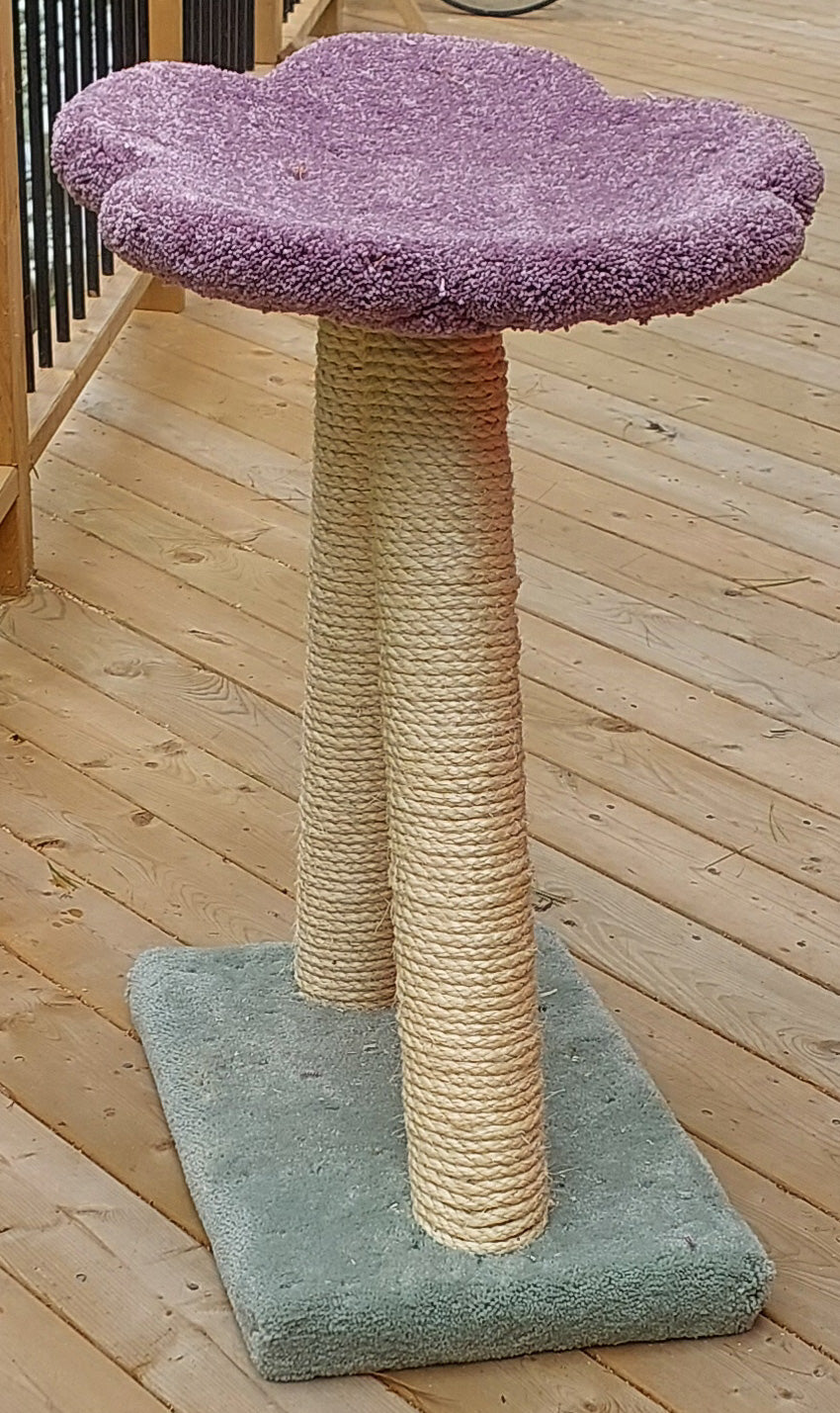 Double Scratch Post with a large flower top