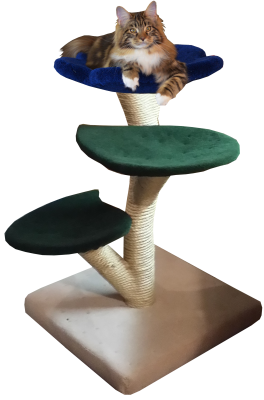 The small Beanstalk