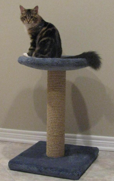 One-tier Classic tree with large platform
