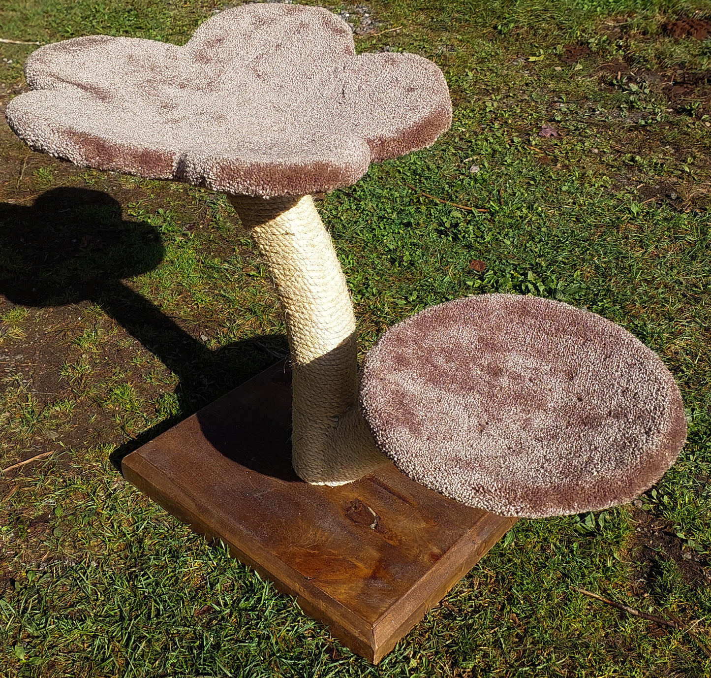 Two-tier Stratus tree