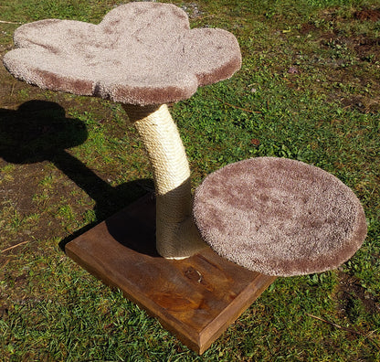 Two-tier Stratus tree
