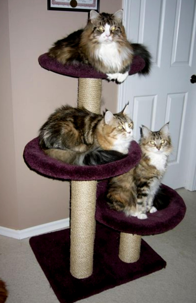 Three-tier Classic tree with large platforms