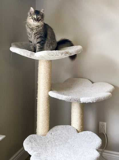 Three-tier Classic tree with large platforms