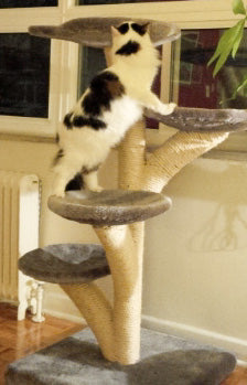 Five-tier Stratus tree
