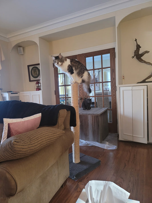 Single scratch post forty-eight inches tall