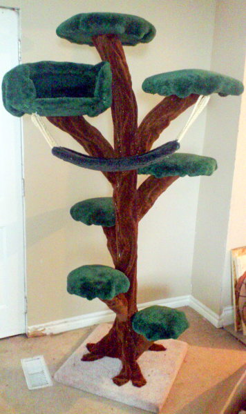 Fantasy tree with one cave and one hammock