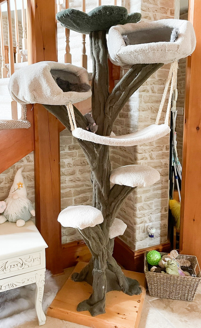 Fantasy tree with two caves