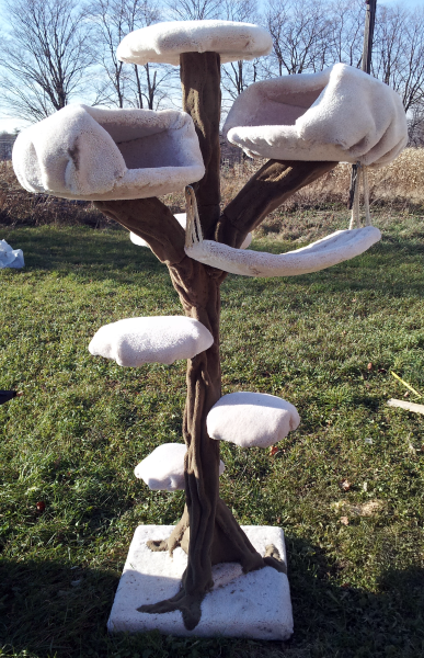 Fantasy tree with two caves