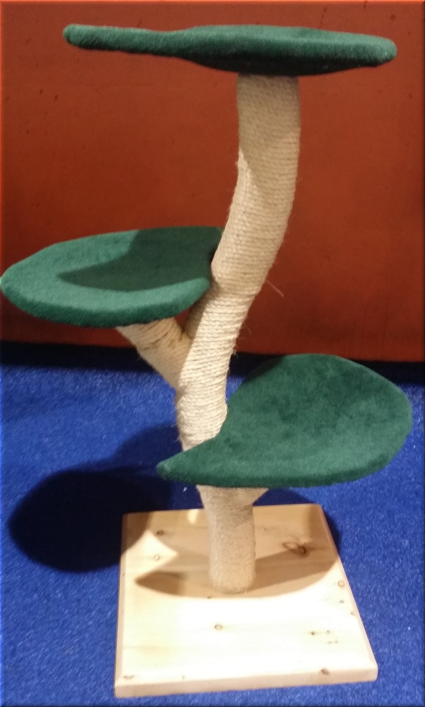 The medium Beanstalk