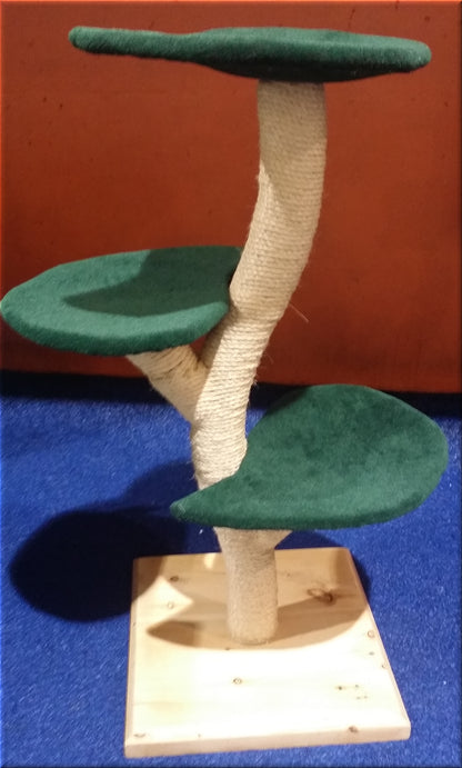 The medium Beanstalk