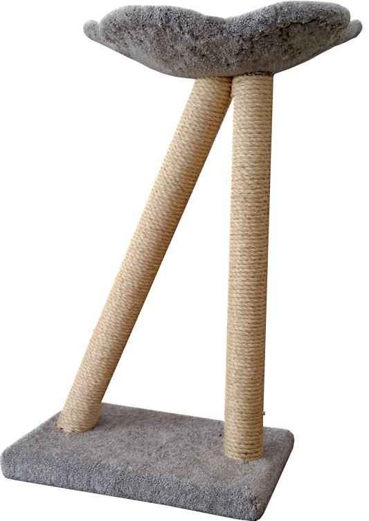 Double scratch post