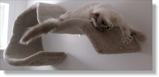 Single Wave wall shelf