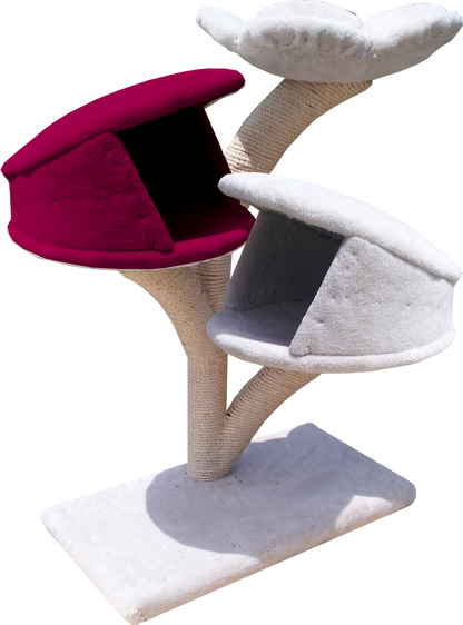 Three-tier Stratus tree