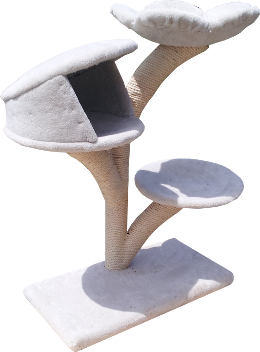 Three-tier Stratus tree