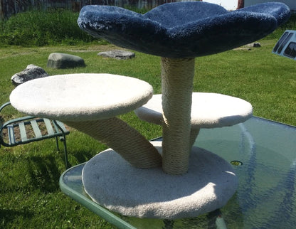 The triple Lily Pad