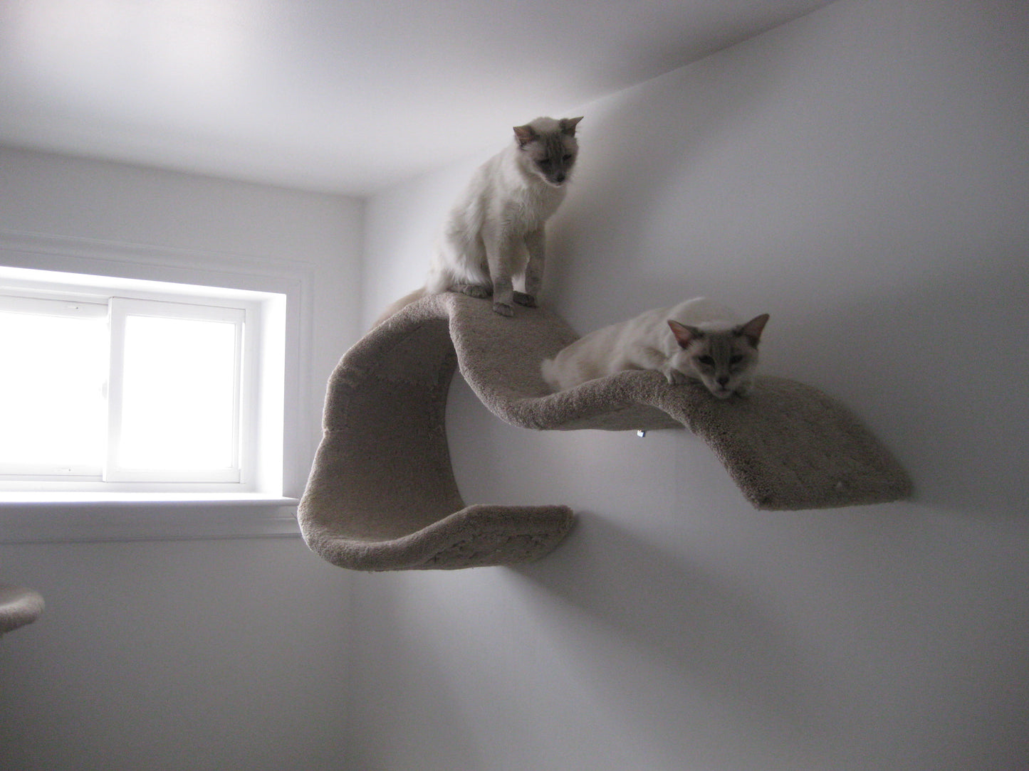 The Single Wave wall shelf