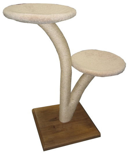 Two-tier Stratus tree