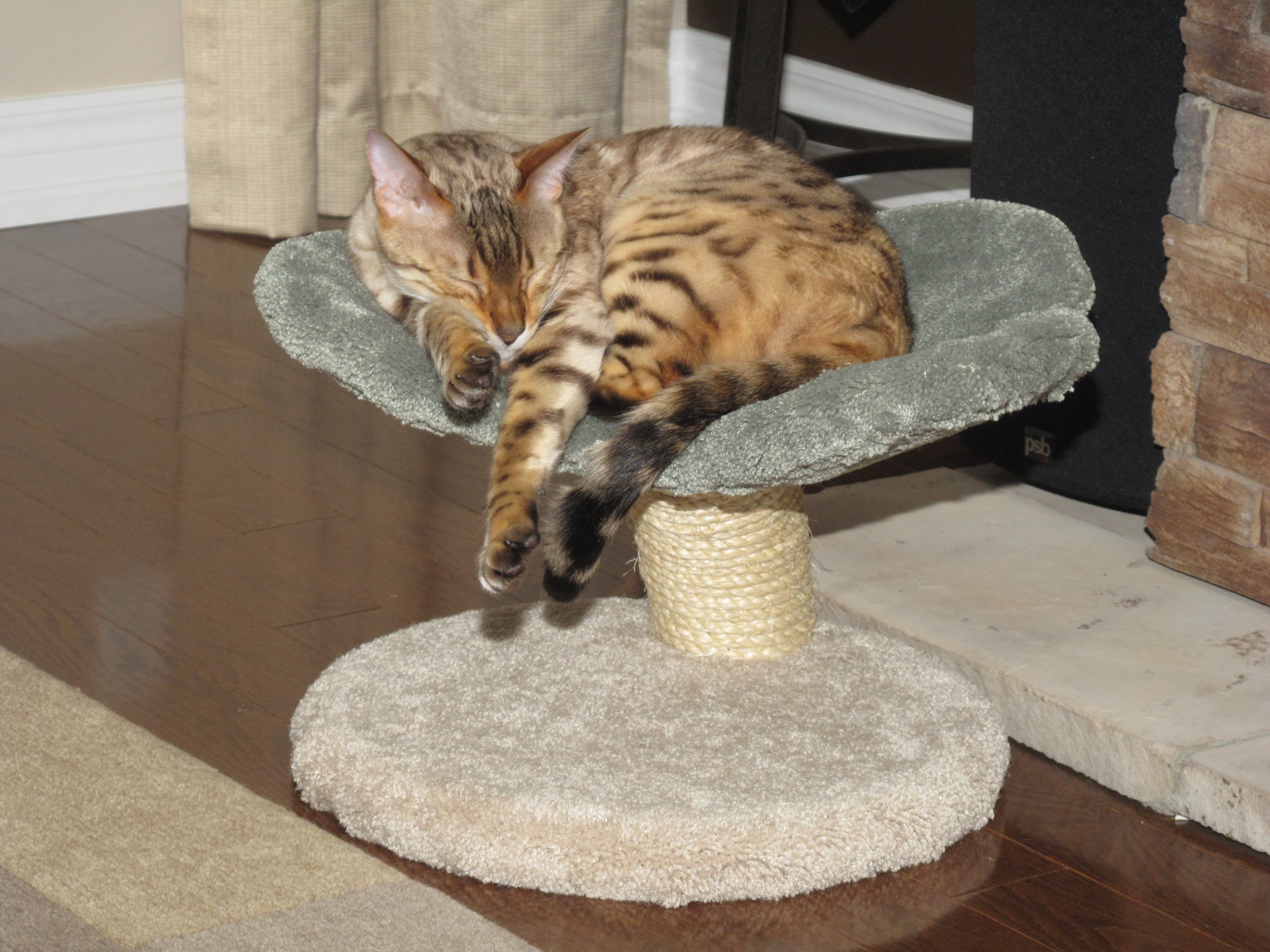 Lily Pad cat tree with cat sleeping